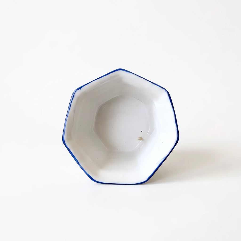 Blue Pottery Hexagonal Planter - 6 Inch Wide Hand-Painted Ceramic Indoor Planter (Sky Blue Floral)