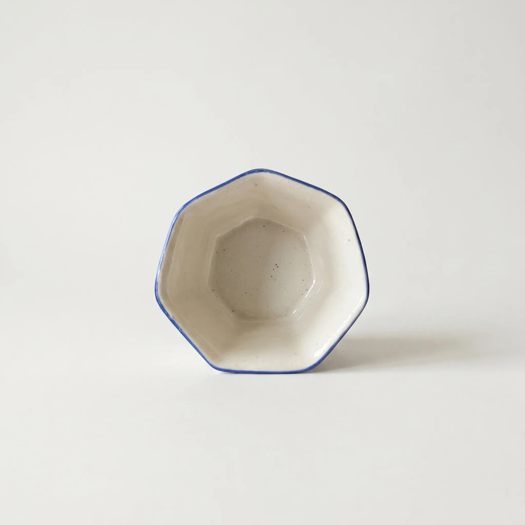Hexagon Blue Pottery Planter – 5” Ceramic Indoor Planter (Geometric Floral Design)