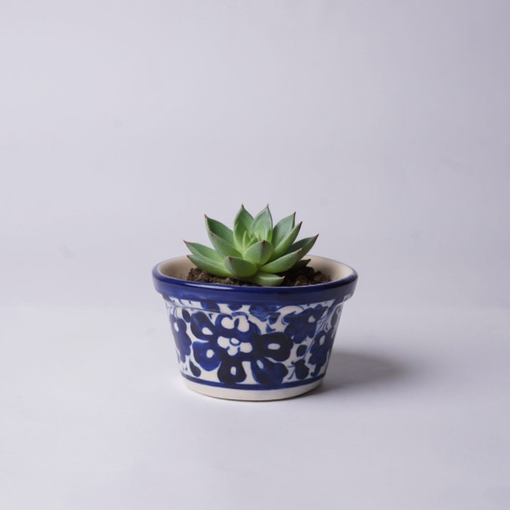 2.5″ Mini Indoor Planter – Blue Petal Pattern